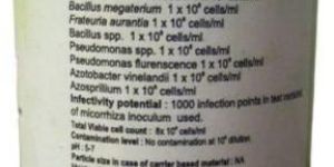 Anneo-n Sugar Crops Bio Fertilizer Liquid