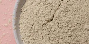 Anneo-P Phosphate Solublizing Bacteria Powder