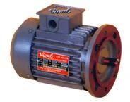 VERTICAL ELECTRIC MOTOR