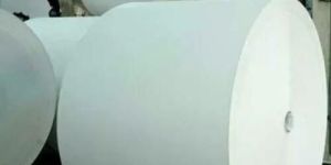 PE Coated Paper Roll