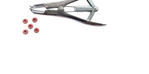 Elastorator Forcep