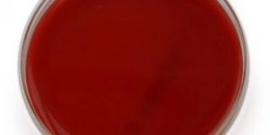 Sheep Blood Agar Plate