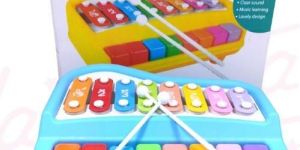 Plastic Melody Xylophone Toy