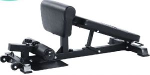 SISSY SQUAT WITH ABDOMINAL BENCH ADJUSTABLE