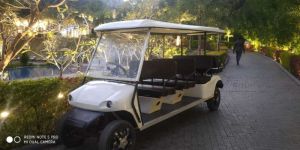 White Golf Carts