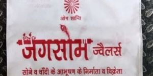 Non Woven Carry Bags