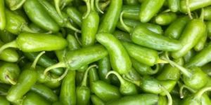 Fresh Bullet Green Chilli