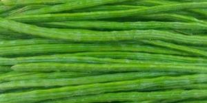 Fresh Long Drumstick