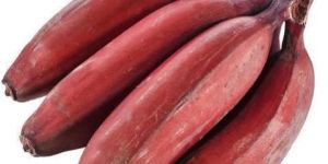 Fresh Red Banana