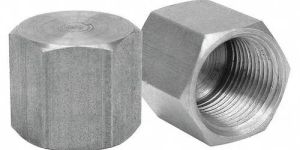 Stainless Steel Pipe Cap
