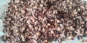 Cashew Husk