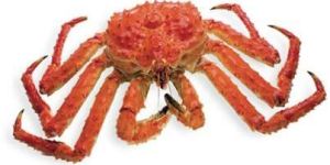King Crab