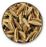 Cumin Seeds