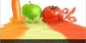 Spray Dried Vegetable Powders