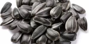 Organic Sunflower Oil