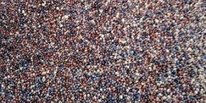 Phosphate Rich Organic Manure Advance Granules