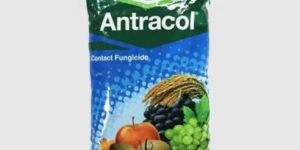 Bayer Fungicide Antracol