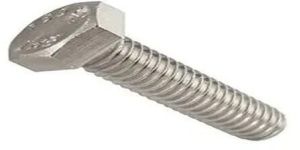 Stainless Steel Bolt