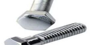 Stainless Steel Hex Bolt