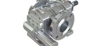 SS Rotary Twin Gear Pump