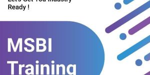 Msbi Training