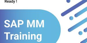 Sap Mm Training