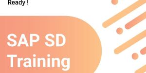 Sap SD Training