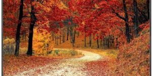 smart led tv 24'-43'