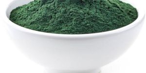 Dried Spirulina Powder