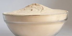 Spray Dried Apple Powder