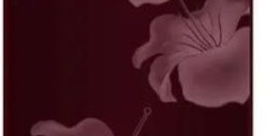 Single Door Refrigerator