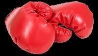 Boxing Gloves