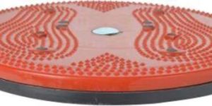 TWISTER EXERCISER PLATE
