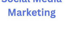 Social Media Marketing Service