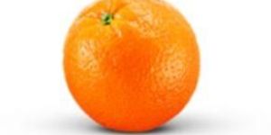 Valencia Orange