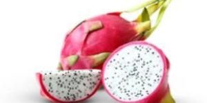 White Flesh Dragon Fruit
