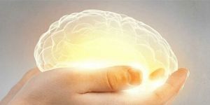 Mental Retardation Treatment Service