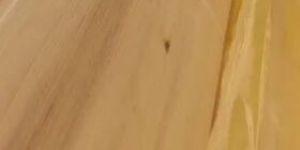 Pine Wood Ceiling Panel