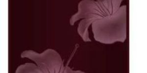 Direct Cool Refrigerator