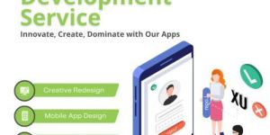 Application Development Service