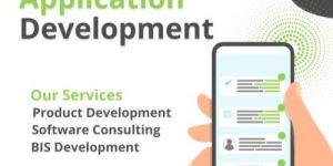 Custom Application Development