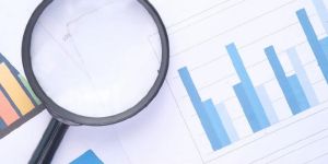 Market Research Services