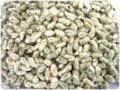 Cotton Seeds