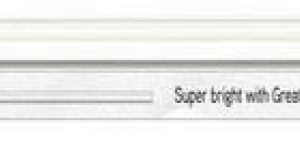 Eveready LED Tube Light