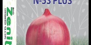 Hybrid N-53 Plus Onion Seeds