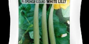 White Lily Hybrid Sponge Gourd Seeds