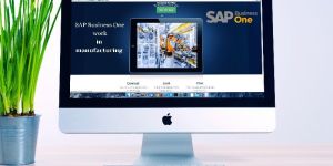 Sap Maintenance