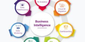 Business Intelligence