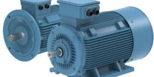 Three Phase Induction Motor