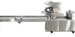 Baggers Sorting Packaging Solutions